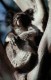 Thumbs/tn_061_koala32.jpg